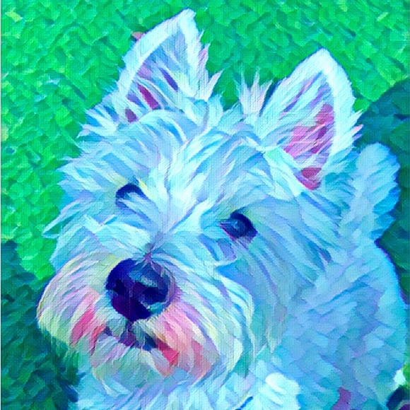 Meet your Posher, Ruthanne - Picture 1 of 2